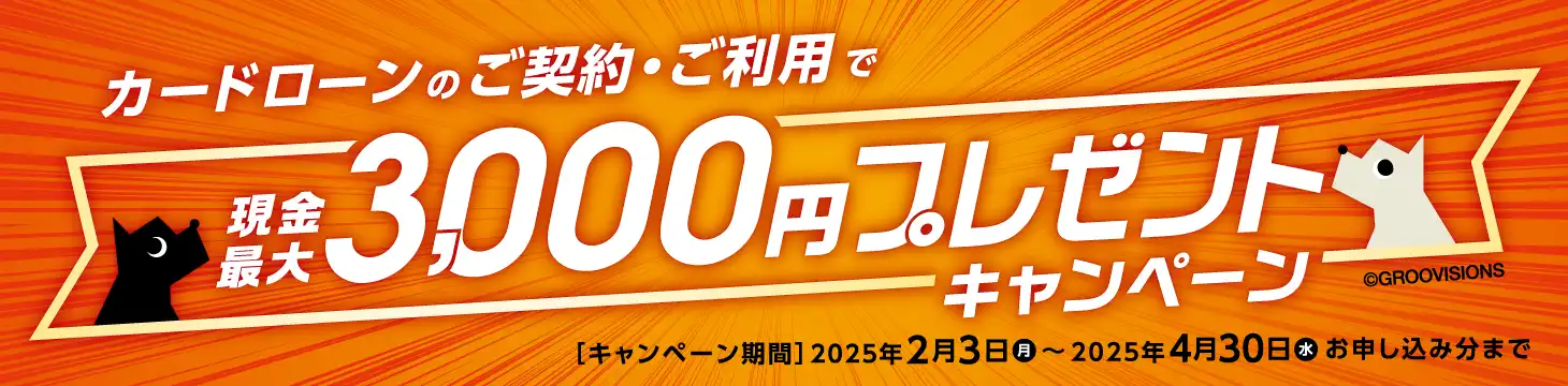 カードローンのご契約・ご利用で現金最大3,000円プレゼントキャンペーン【キャンペーン期間】2025年2月3日（月）～2025年4月30日（水）お申し込み分まで